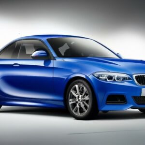 ai image 1735612445940 1 300x300